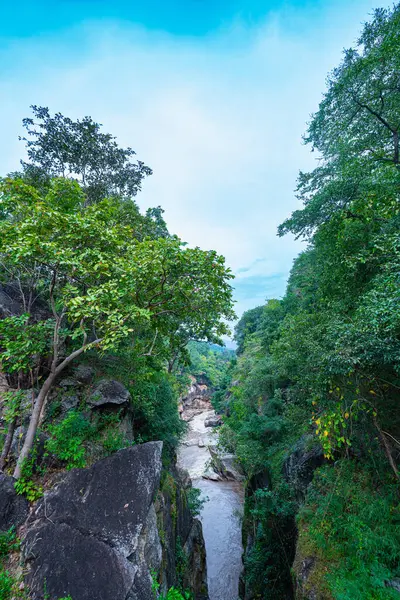 Yükselen kaya oluşumları ve uçurumları birbirine bağlayan dar bir köprüyle, yemyeşil ormanlarla çevrili bir nehir vadisinin pitoresk görüntüsü. Doğal güzellik ve canlı yeşillik. Öpücük uçurumu