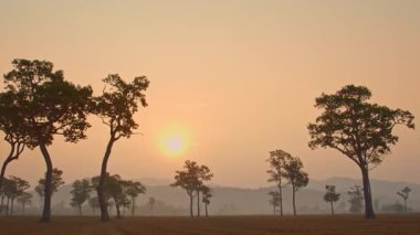 Kırsal bir arazide huzurlu bir günbatımı