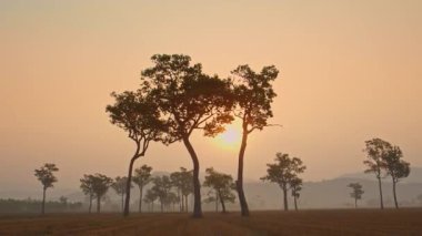 Sabah gün ışığı dağların üzerinde