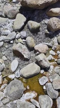 Ladakhs Chumathang Kaplıcalarındaki Taşlar ve Su Manzarası 'nı kapatın.