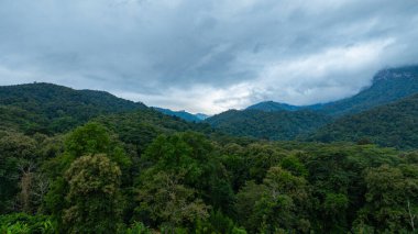 Yoğun bulutlarla kaplanmış gür, gür bir dağ zirvesinin dramatik manzarası, bulutlu bir gökyüzü altında doğanın saf güzelliğini ve gizemini yakalıyor..