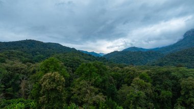 Yoğun bulutlarla kaplanmış gür, gür bir dağ zirvesinin dramatik manzarası, bulutlu bir gökyüzü altında doğanın saf güzelliğini ve gizemini yakalıyor..