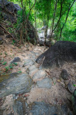 Yükselen kaya oluşumları ve uçurumları birbirine bağlayan dar bir köprüyle, yemyeşil ormanlarla çevrili bir nehir vadisinin pitoresk görüntüsü. Doğal güzellik ve canlı yeşillik. Öpücük uçurumu