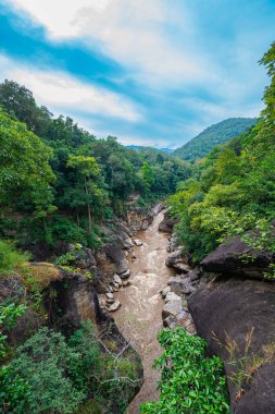 Yükselen kaya oluşumları ve uçurumları birbirine bağlayan dar bir köprüyle, yemyeşil ormanlarla çevrili bir nehir vadisinin pitoresk görüntüsü. Doğal güzellik ve canlı yeşillik. Öpücük uçurumu