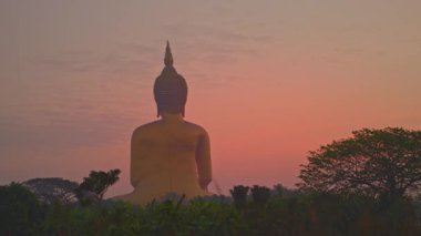 Büyük Buda heykeli Alacakaranlıktaki pirinç tarlasında