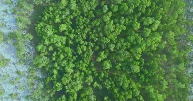 Prathong adasındaki Samed Khao ormanının havadan görünüşü, Phang Nga
