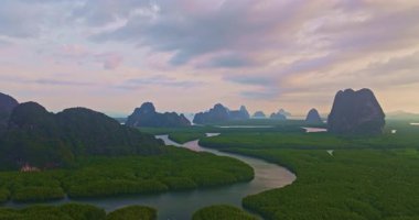 Kıyı mangrovlarının ve nehir deltalarının hava görüntüsü