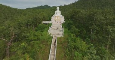 Beyaz büyük Buda 'nın yemyeşil ormandaki hava manzarası.