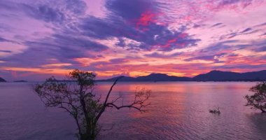 Mangrov ağaçlarının üzerinde günbatımında renkli bulutların hava manzarası