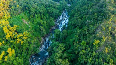 Mae Klang Şelalesi Chiang Mai 'de