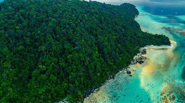 Bereketli tropik ada, turkuaz okyanus sularıyla buluşuyor.