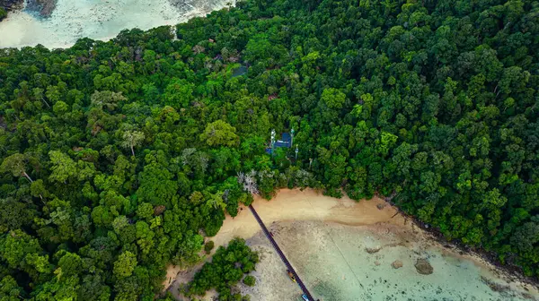 Bereketli tropikal orman kumlu kıyı şeridi ve berrak su ile buluşuyor