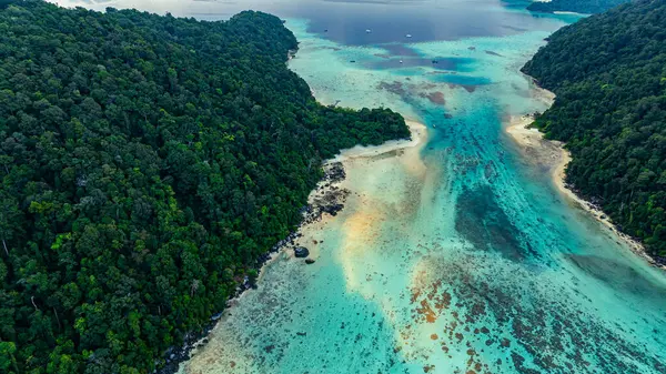 Bereketli tropikal orman, turkuaz okyanus sularıyla buluşuyor.