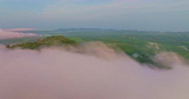 Yoğun sabah sisiyle kaplı yuvarlanan tepeler.