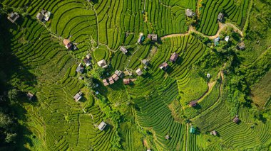 Yeşil pirinç tarlalarından oluşan büyüleyici bir vadideki teraslı pirinç tarlalarının ve sabah sisi ile kaplı yemyeşil ormanların havadan görünüşü barışçıl ve atmosferik kırsal bir atmosfer yaratıyor. güzel doğa