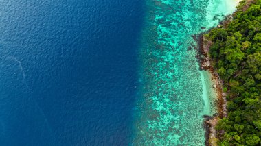 Havadan bakıldığında yemyeşil ormanın turkuaz okyanus suyuyla buluştuğu görülüyor.