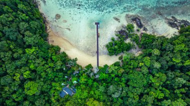 Tropikal kıyı şeridi buluşması yemyeşil orman havası