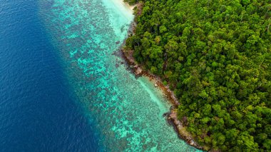 Bereketli tropikal orman canlı turkuaz kıyı şeridiyle buluşuyor.