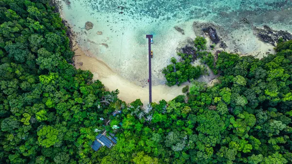 Tropikal kıyı şeridi buluşması yemyeşil orman havası