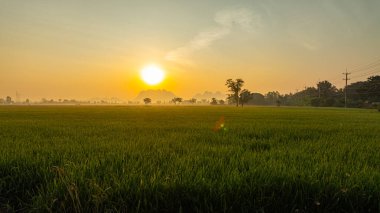 Geniş pirinç tarlalarına canlı turuncu ve mavi renkler serpiştiren güneşin nefes kesici hava manzarası ve siluetli dağ sırası doğanın uyanışının dingin güzelliğini yansıtıyor..