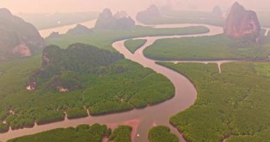 Sarmal nehir yemyeşil mangrovların arasından akıyor.