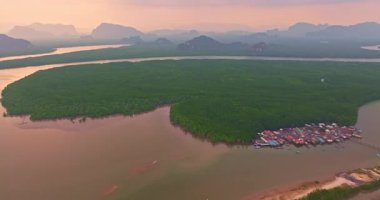 Hava görüntüsü kıvrımlı nehri yeşil ormanda gösteriyor.