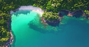 Turkuaz su buluşması yemyeşil tropikal kıyı şeridi