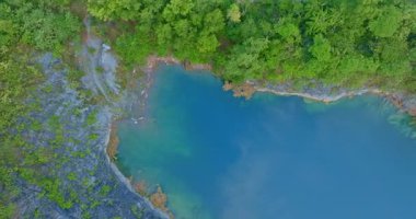 Hava manzarası yemyeşil ormanın yanında mavi gölü gösteriyor.