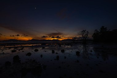 Altın güneş dağ sırtının arkasından yavaşça iniyor, engin mangrov ağaçlarının üzerine uzun gölgeler bırakıyor. Doğanın huzurlu ritmi alacakaranlık gibi yayılıyor.