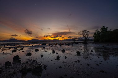 Mangrov ağaçlarındaki boşluklardan güneş ışığı akarken altın saat büyüleyici bir zaman atlaması ile ortaya çıkıyor. Yumuşak dalgalar kıyı şeridini dolaşarak bu sakin ve meditasyon sahnesine hareket katıyor..