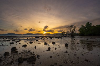 Mangrov ağaçlarındaki boşluklardan güneş ışığı akarken altın saat büyüleyici bir zaman atlaması ile ortaya çıkıyor. Yumuşak dalgalar kıyı şeridini dolaşarak bu sakin ve meditasyon sahnesine hareket katıyor..