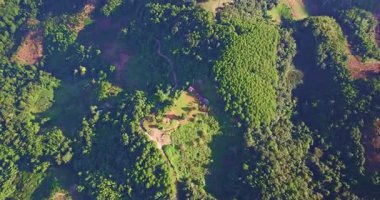 Küçük kırsal alanı çevreleyen yemyeşil orman