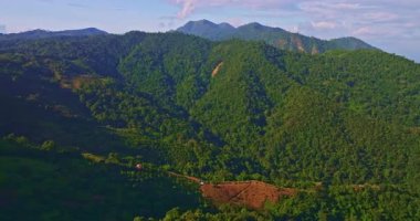 Küçük kahverengi açıklığı çevreleyen yemyeşil dağlar