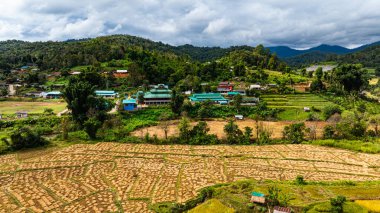 Köyün çevresindeki yemyeşil tepeler