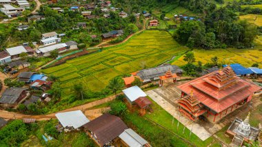 Yeşil pirinç tarlalarının yanındaki kırsal köyü gösteren hava manzarası