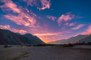 Dramatik bir dağ vadisinde nefes kesici bir gün batımı. Huzurlu manzara renkli gökyüzü ile zenginleşir. Uzak deve sürüleri ve yükselen zirveler doğayla bir barış ve bağ hissi uyandırıyor..