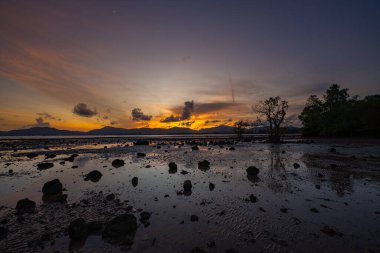 Sıcak gün batımında yıkanan sakin bir kıyı manzarası ortaya çıkar. Mangrov tepe örtüsü aşağıda bir duvar halısı oluşturur, gelgit körfezleri ve deniz sularında parıldayan altın tonlarıyla. Güneş daha da batarken