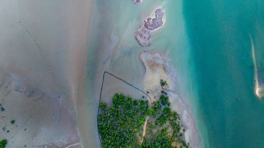 Sığ kıyı suları ve mangrov ormanlarının ortasında derin bir su kanalı açık denize doğru esiyor. Bu doğal su yolu, okyanusa giden tekneler için çok önemli bir rota.