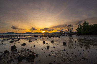 Sıcak gün batımında yıkanan sakin bir kıyı manzarası ortaya çıkar. Mangrov tepe örtüsü aşağıda bir duvar halısı oluşturur, gelgit körfezleri ve deniz sularında parıldayan altın tonlarıyla. Güneş daha da batarken