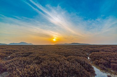 Parlayan gökyüzünün altındaki mercan resiflerinin doğanın sükunetini tropikal güzellikle harmanladığı sakin bir deniz manzarası alacakaranlıkta açılır.