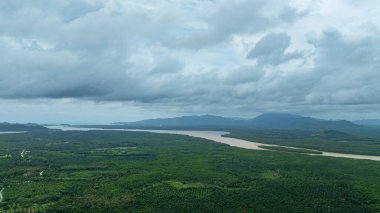 Mangrove Ormanı ve Delta Nehri 'nin hava manzarası kıvrımlı kanallarla kesişiyor mangrov kanalı uzun kuyruklu teknelerle dolu. Balıkçı köyünden Phang Nga Okyanusu' na giden yol.. 