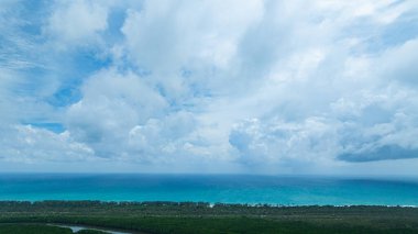 Renkli bir ağaçkakan, yavrularını bir oyukta beslemek için bir ağaç gövdesine tünemiş. Bereketli bir ormanda, yeşil kuşlar ağaçların doğal tonlarıyla ve bulanık yeşil yapraklarla çok güzel zıtlaşır.