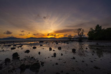 Mangrov ağaçlarındaki boşluklardan güneş ışığı akarken altın saat büyüleyici bir zaman atlaması ile ortaya çıkıyor. Yumuşak dalgalar kıyı şeridini dolaşarak bu sakin ve meditasyon sahnesine hareket katıyor..