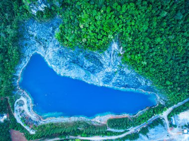 Gökyüzü manzaralı büyük gölet. Mavi su var ve çam ormanının İsviçre gibi güzel bir manzarası var.