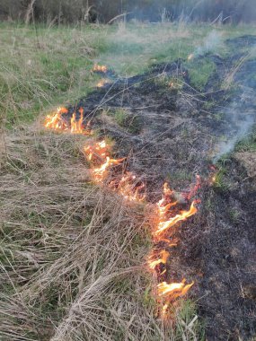 Köyün yakınındaki bir tarlada yanan otların fotoğrafı. 