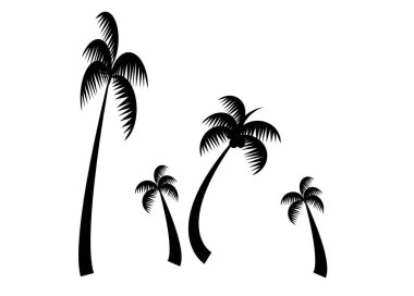 Bu detaylı palmiye ve hindistan cevizi ağacı silueti çizimi.