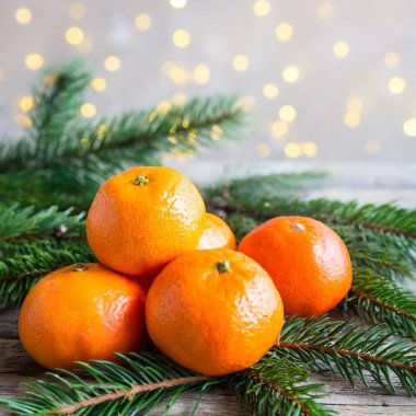 Mandarin köknar dalları arka planda zencefilli Noel minimalizmi çerçeve topları. Yüksek kalite fotoğraf