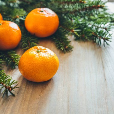 Mandarin köknar dalları arka planda zencefilli Noel minimalizmi çerçeve topları. Yüksek kalite fotoğraf