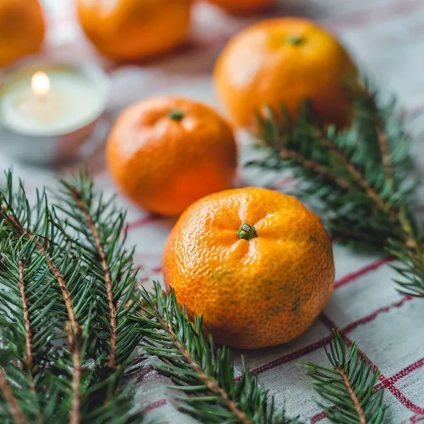 Mandarin köknar dalları arka planda zencefilli Noel minimalizmi çerçeve topları. Yüksek kalite fotoğraf