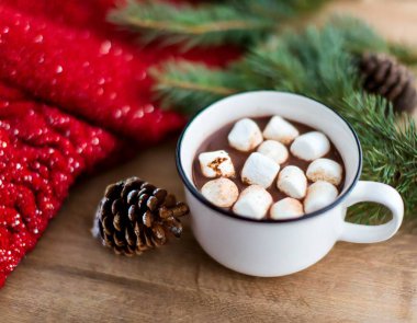 Kakao, kahve, hediye, köknar dalı, fındık, koni, sıcak örgü battaniye. Kış, Yeni Yıl, Noel